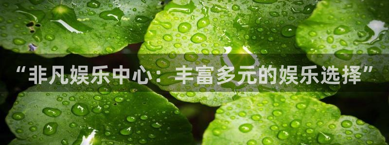 NG大舞台：“非凡娱乐中心：丰富多元的娱乐选择”