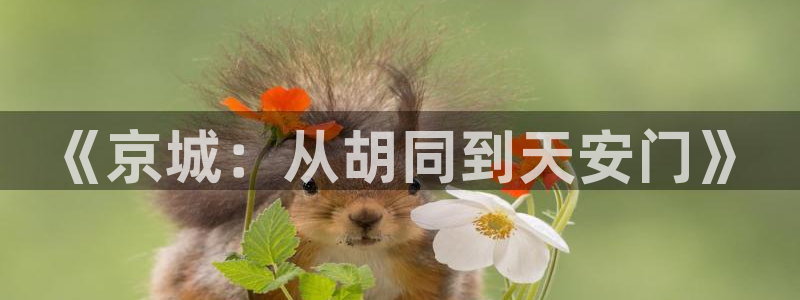 南宫大舞台官网入口：《京城：从胡同到天安门》