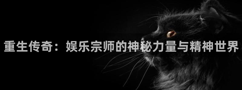 NG大舞台：重生传奇：娱乐宗师的神秘力量与精神世界