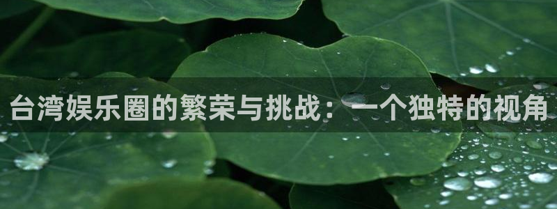 南宫大舞台官网入口：台湾娱乐圈的繁荣与挑战：一个独特的视角