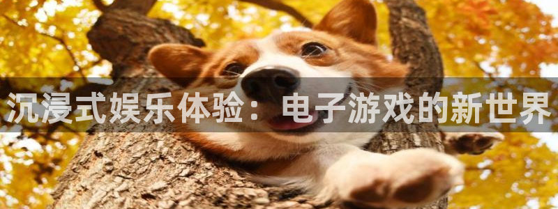 NG大舞台：沉浸式娱乐体验：电子游戏的新世界