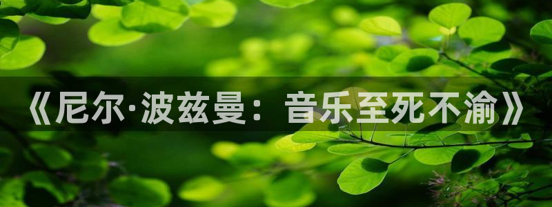 南宫大舞台官网入口：《尼尔·波兹曼：音乐至死不渝》