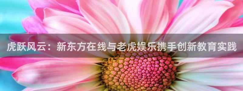 南宫大舞台：虎跃风云：新东方在线与老虎娱乐携手创新教育实践