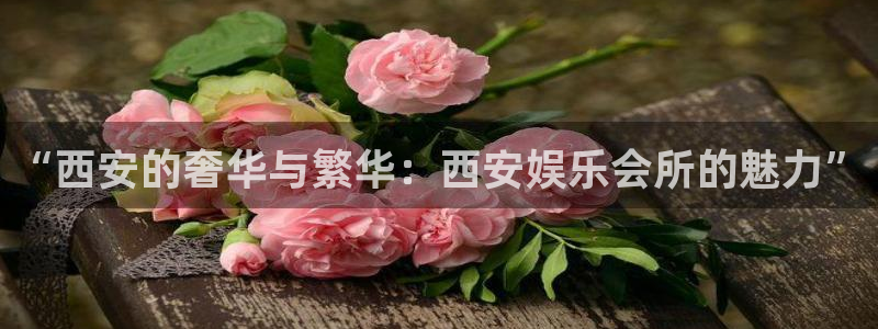 南宫大舞台官网入口：“西安的奢华与繁华：西安娱乐会所的魅力”