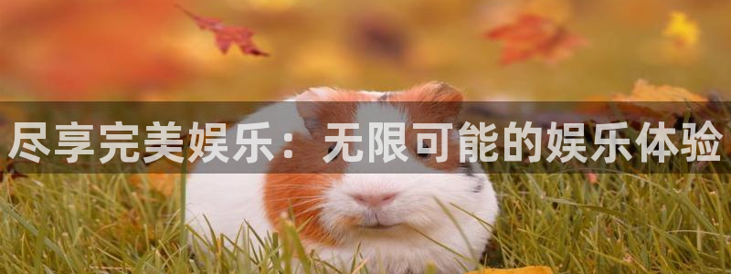 南宫大舞台官网入口：尽享完美娱乐：无限可能的娱乐体验