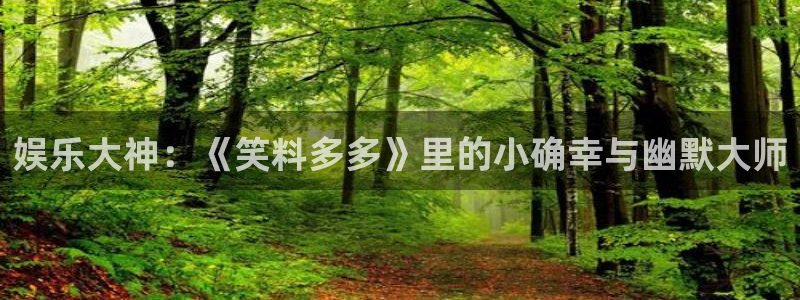 南宫大舞台：娱乐大神：《笑料多多》里的小确幸与幽默大师