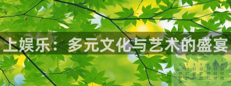 NG大舞台：上娱乐：多元文化与艺术的盛宴