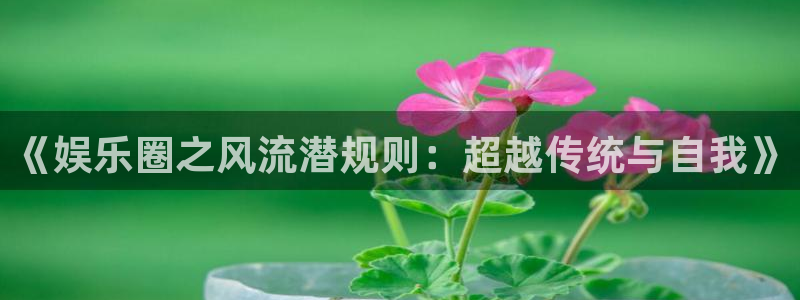 NG大舞台：《娱乐圈之风流潜规则：超越传统与自我》